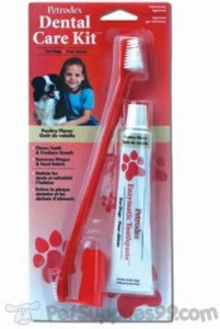 Petrodex Cat Dental Care Kit